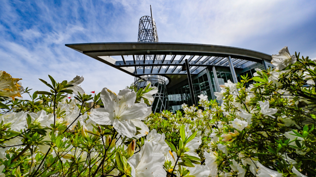 White flowers on a spring day in front of Talley Student Union