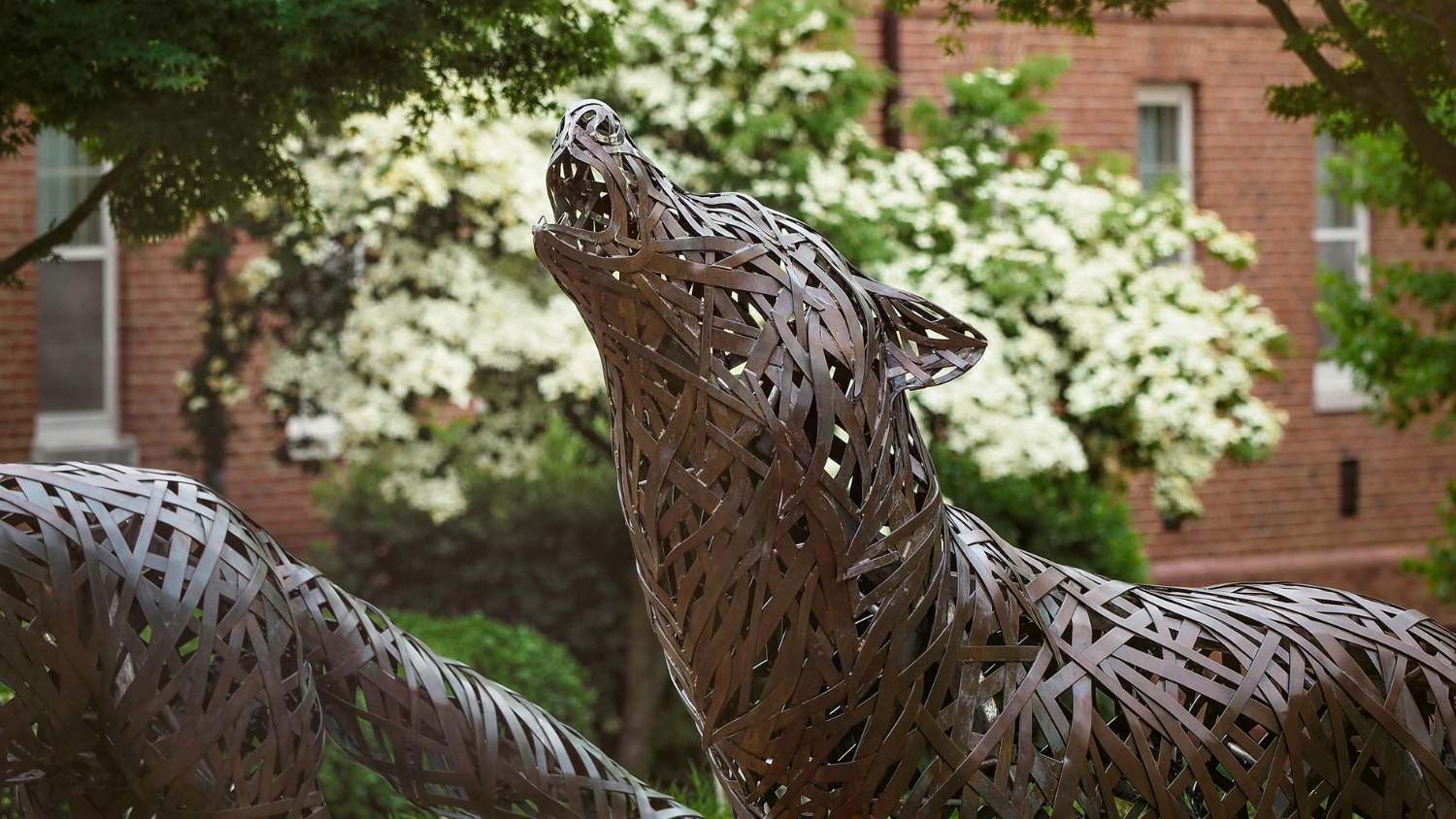 decorative