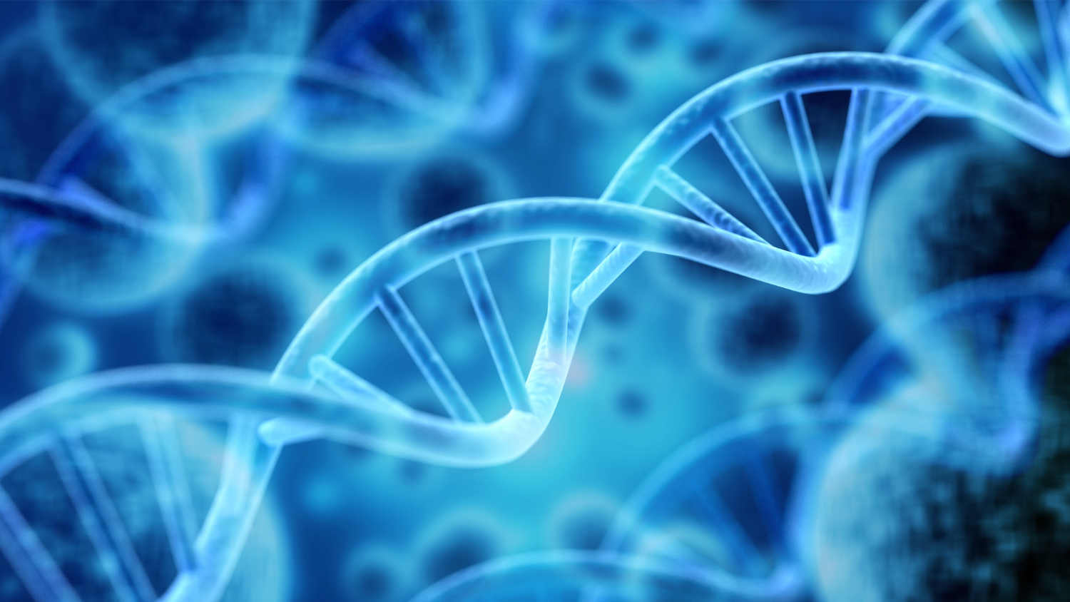 Visualization of a DNA strand